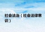 社會(huì)法治（社會(huì)法律意識(shí)）