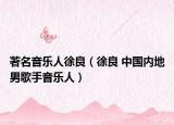 著名音樂人徐良（徐良 中國內(nèi)地男歌手音樂人）