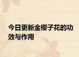 今日更新金櫻子花的功效與作用