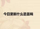 今日更新什么是蓋碗