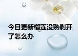 今日更新榴蓮沒熟剝開了怎么辦