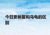 今日更新鱉和烏龜?shù)膮^(qū)別