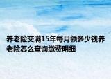 養(yǎng)老險(xiǎn)交滿15年每月領(lǐng)多少錢養(yǎng)老險(xiǎn)怎么查詢繳費(fèi)明細(xì)