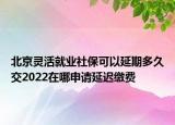 北京靈活就業(yè)社?？梢匝悠诙嗑媒?022在哪申請(qǐng)延遲繳費(fèi)