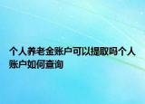 個人養(yǎng)老金賬戶可以提取嗎個人賬戶如何查詢