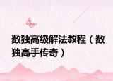 數(shù)獨(dú)高級(jí)解法教程（數(shù)獨(dú)高手傳奇）