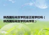 陜西國際商貿(mào)學院是正規(guī)學校嗎（陜西國際商貿(mào)學院商學院）