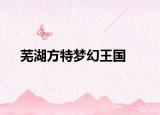 蕪湖方特夢(mèng)幻王國