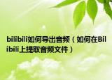 bilibili如何導(dǎo)出音頻（如何在Bilibili上提取音頻文件）