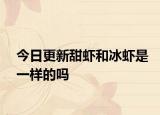 今日更新甜蝦和冰蝦是一樣的嗎