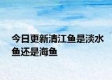 今日更新清江魚是淡水魚還是海魚