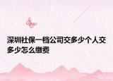 深圳社保一檔公司交多少個(gè)人交多少怎么繳費(fèi)