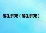醉生夢死（醉生夢死）