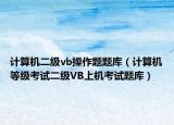 計算機二級vb操作題題庫（計算機等級考試二級VB上機考試題庫）