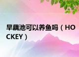 旱藕池可以養(yǎng)魚(yú)嗎（HOCKEY）