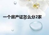 一個(gè)房產(chǎn)證怎么分2家