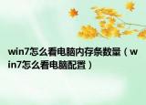 win7怎么看電腦內(nèi)存條數(shù)量（win7怎么看電腦配置）