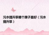 污水提升泵哪個(gè)牌子最好（污水提升泵）