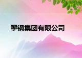 攀鋼集團(tuán)有限公司