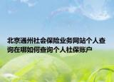 北京通州社會保險業(yè)務(wù)網(wǎng)站個人查詢在哪如何查詢個人社保賬戶