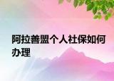 阿拉善盟個人社保如何辦理