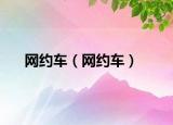 網約車（網約車）