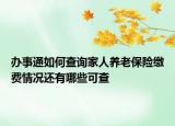 辦事通如何查詢家人養(yǎng)老保險(xiǎn)繳費(fèi)情況還有哪些可查