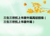 三生三世枕上書番外篇再續(xù)前緣（三生三世枕上書番外篇）
