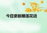 今日更新睡蓮花語