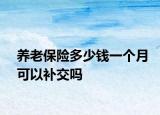 養(yǎng)老保險多少錢一個月可以補交嗎