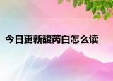 今日更新馥芮白怎么讀