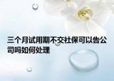 三個(gè)月試用期不交社?？梢愿婀締崛绾翁幚? /></span></a>
                        <h2><a href=