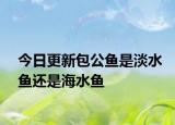 今日更新包公魚是淡水魚還是海水魚