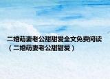 二婚萌妻老公甜甜愛全文免費(fèi)閱讀（二婚萌妻老公甜甜愛）