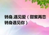 轉(zhuǎn)身,遇見愛（甜蜜再戀轉(zhuǎn)身遇見你）