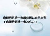 離職后五險一金哪些可以自己交費（離職后五險一金怎么辦）