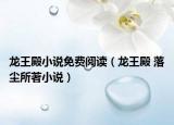 龍王殿小說免費閱讀（龍王殿 落塵所著小說）