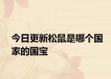 今日更新松鼠是哪個國家的國寶