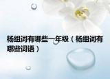 楊組詞有哪些一年級(jí)（楊組詞有哪些詞語）