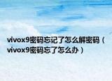 vivox9密碼忘記了怎么解密碼（vivox9密碼忘了怎么辦）