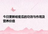 今日更新哈密瓜的功效與作用及營養(yǎng)價值