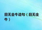 目無(wú)全牛造句（目無(wú)全牛）