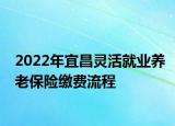 2022年宜昌靈活就業(yè)養(yǎng)老保險(xiǎn)繳費(fèi)流程