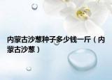 內(nèi)蒙古沙蔥種子多少錢(qián)一斤（內(nèi)蒙古沙蔥）
