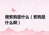 搜索狗是什么（索狗是什么?。? /></span></a>
                        <h2><a href=
