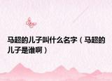 馬超的兒子叫什么名字（馬超的兒子是誰?。? /></span></a>
                        <h2><a href=