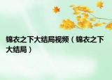 錦衣之下大結(jié)局視頻（錦衣之下 大結(jié)局）