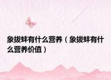 象拔蚌有什么營養(yǎng)（象拔蚌有什么營養(yǎng)價值）
