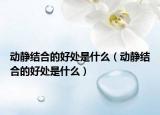 動(dòng)靜結(jié)合的好處是什么（動(dòng)靜結(jié)合的好處是什么）