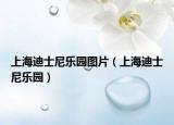 上海迪士尼樂(lè)園圖片（上海迪士尼樂(lè)園）